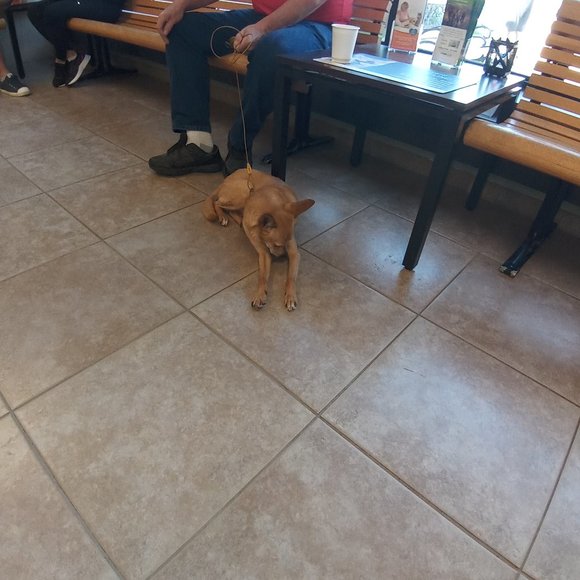 @luckygirl1609 Come & join Everyone is welcome💖 - Picture 15 of 16